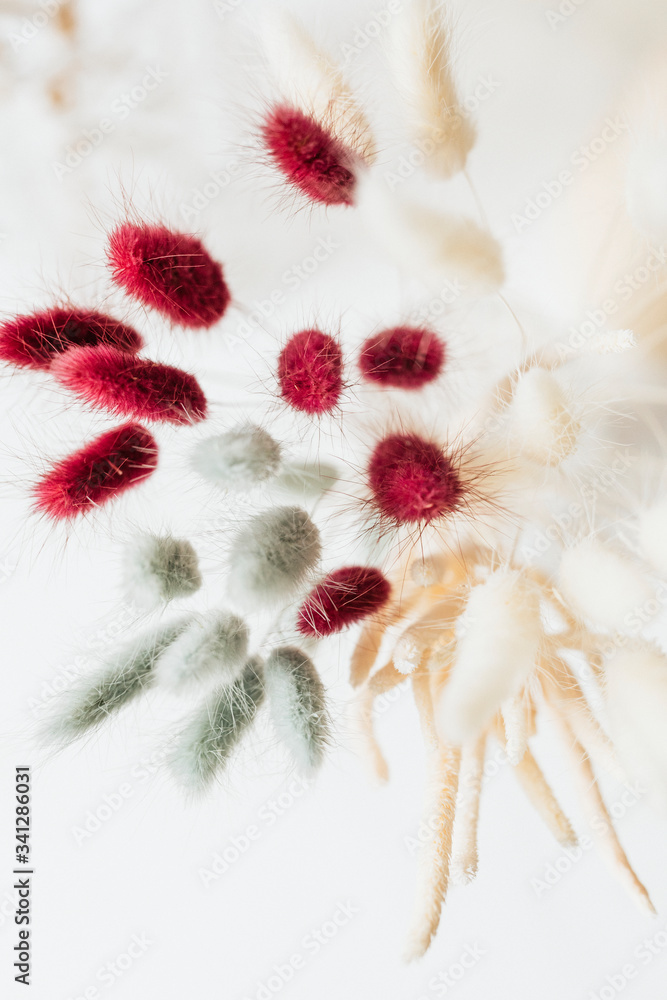 Aerial view of Bunny Tail grass in a vase