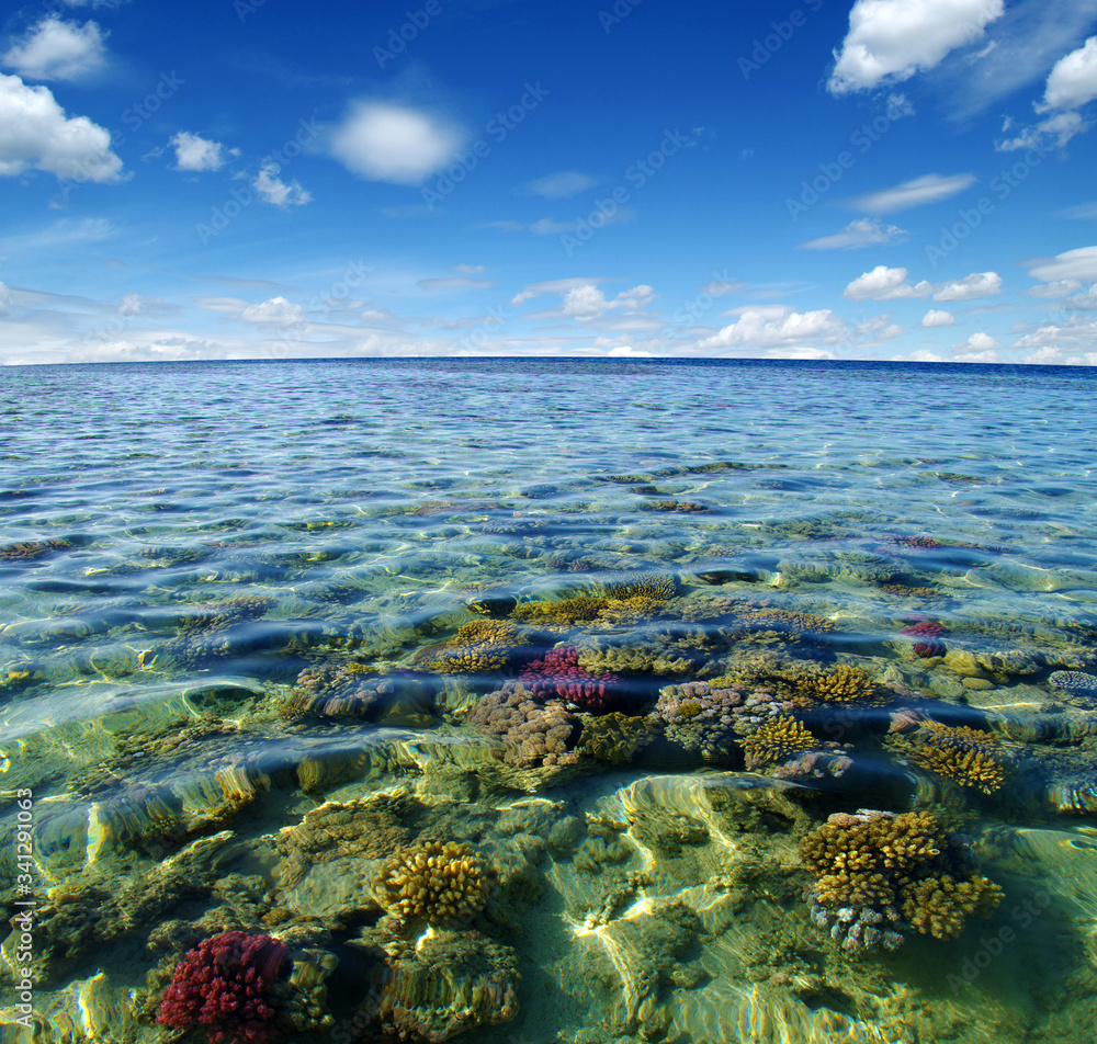 Red sea coral reef and sky.