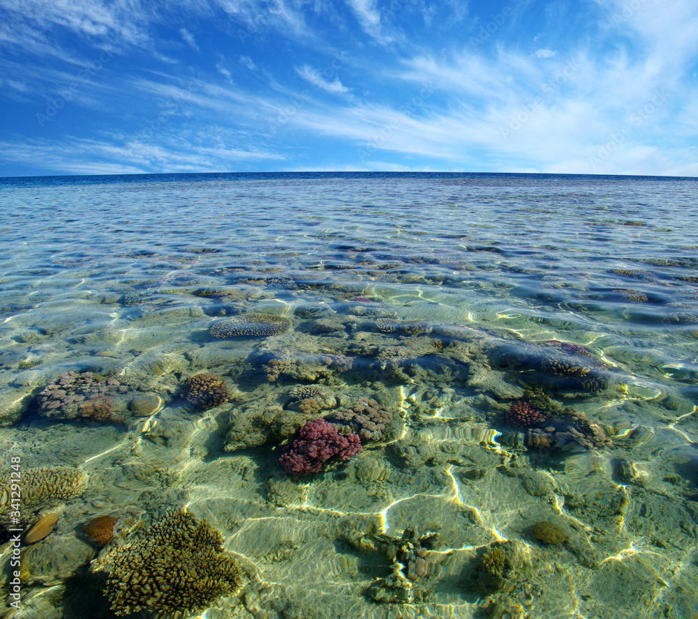 Red sea coral reef and sky.