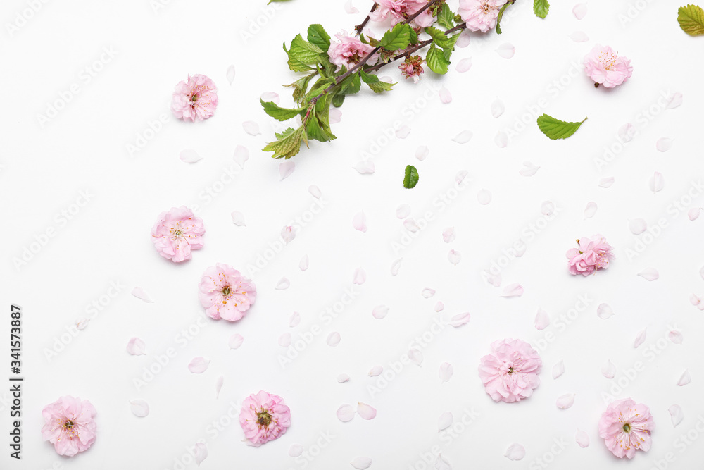 Beautiful blossoming branch and petals on white background