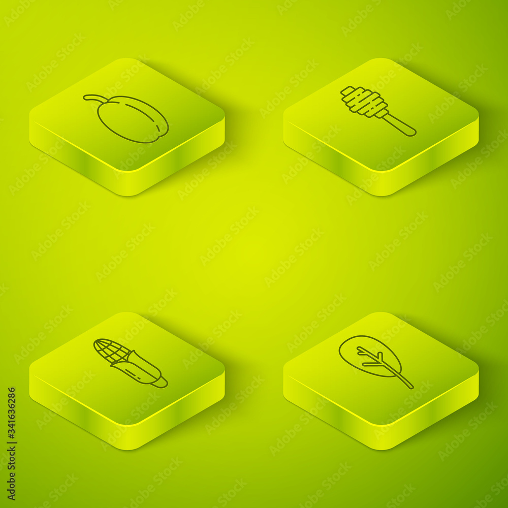 Set Isometric Honey dipper stick, Corn, Leaf or leaves and Plum fruit icon. Vector