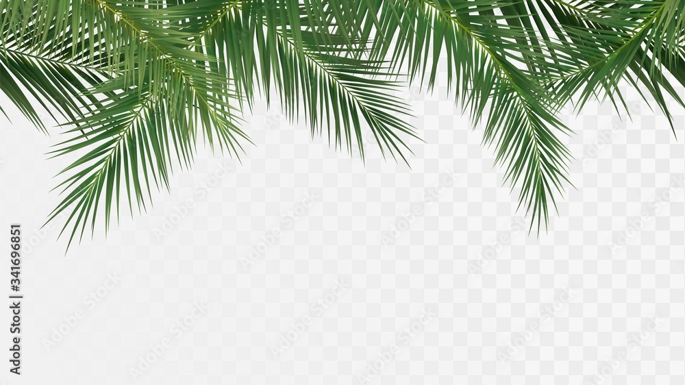 Palm branches seamless pattern, edge with tropical plants