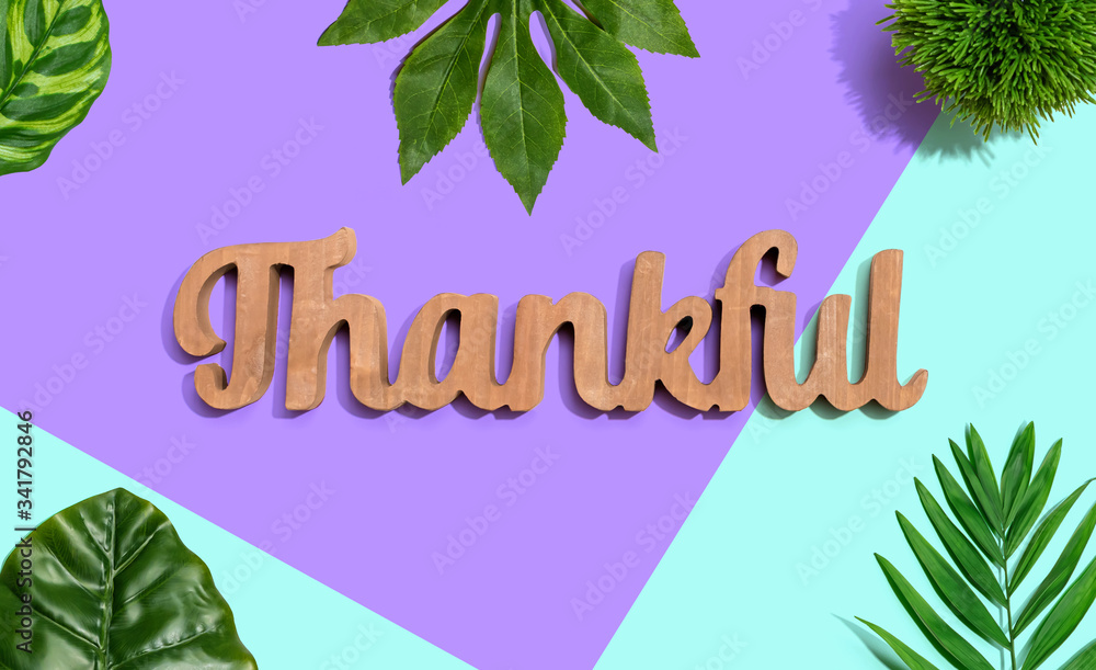 Thankful wooden text with green tropical leaves