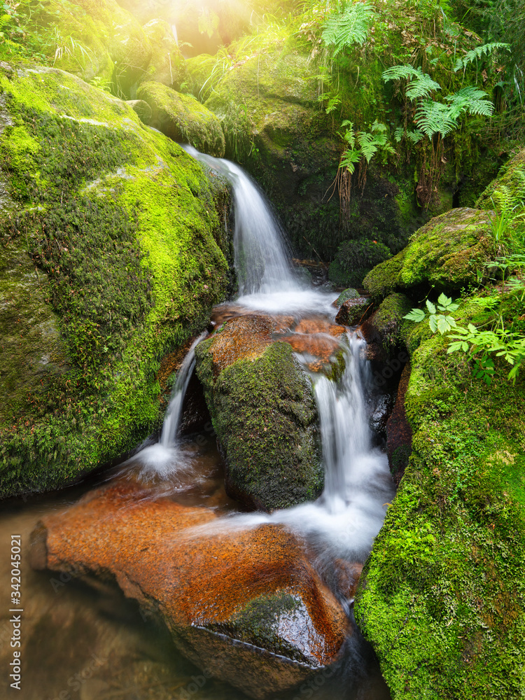 Mountain creek with beautiful miniature waterfalls flowing through moss-grown rocks of a forest