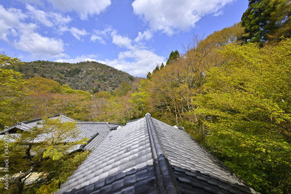 数寄屋造り