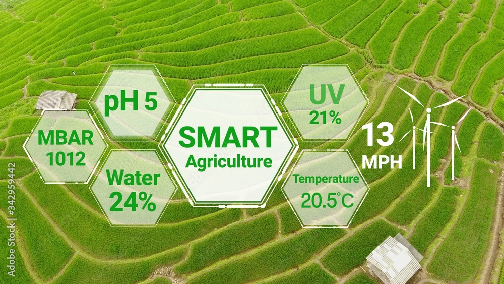 Smart digital agriculture technology by futuristic sensor data collection management by artificial i