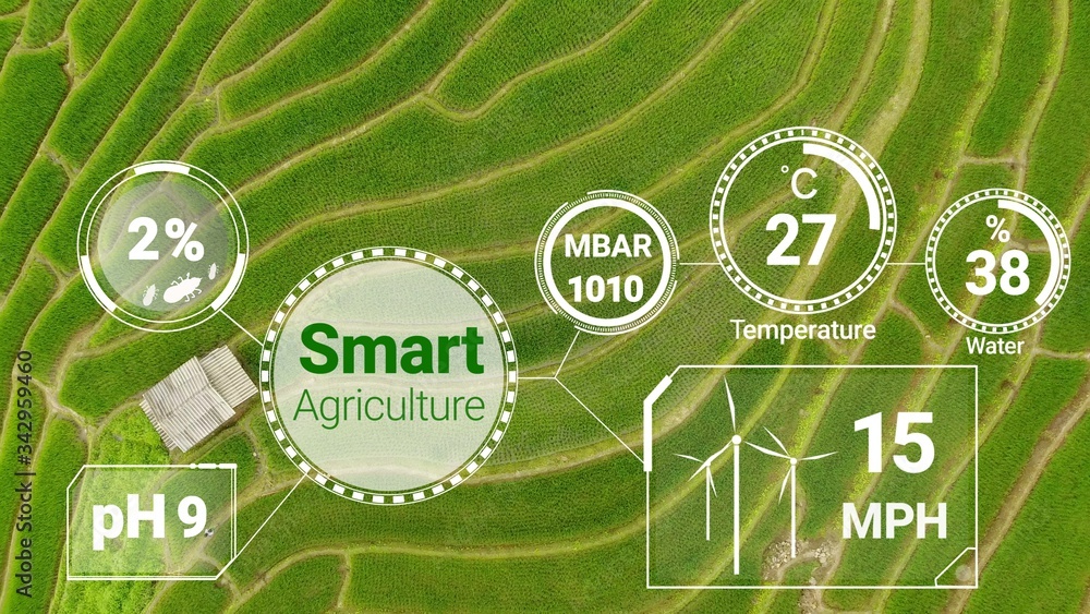 Smart digital agriculture technology by futuristic sensor data collection management by artificial i