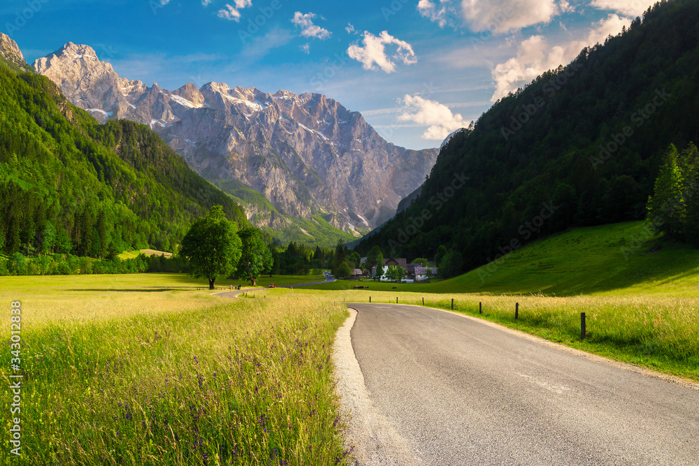 Alpine landscape with flowery meadows and mountains, Kamnik Alps, Slovenia