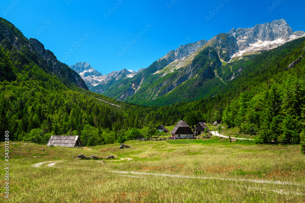 斯洛文尼亚特伦塔山谷的夏季高山景观和乡村房屋