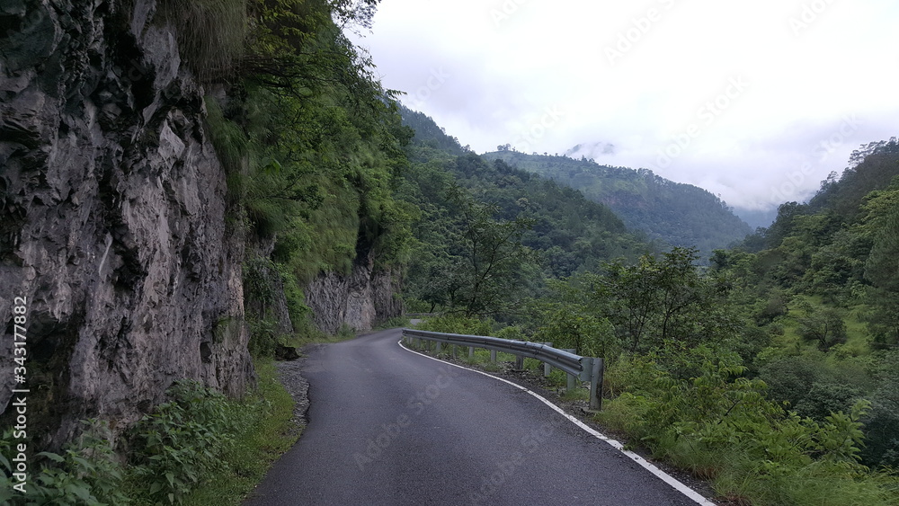 Road leading to the Greenry . the nature welcomes you 