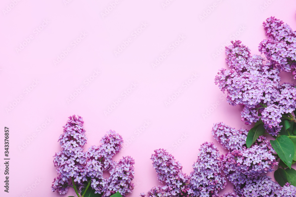 Beautiful lilac flowers on color background