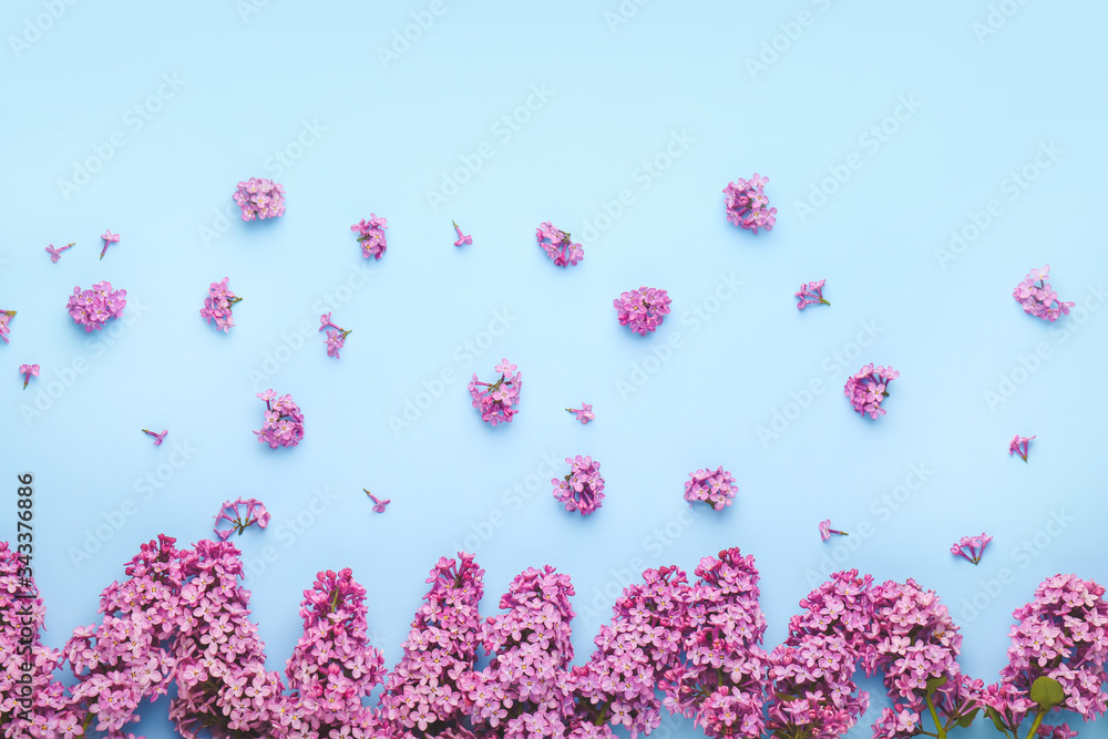 Beautiful lilac flowers on color background