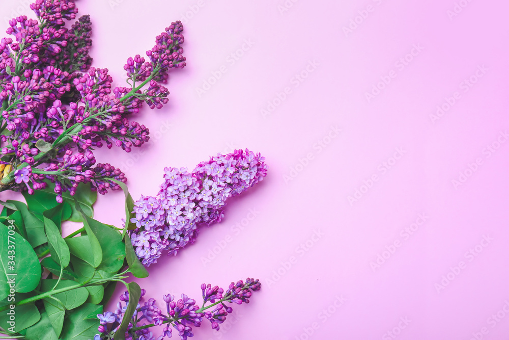 Beautiful lilac flowers on color background