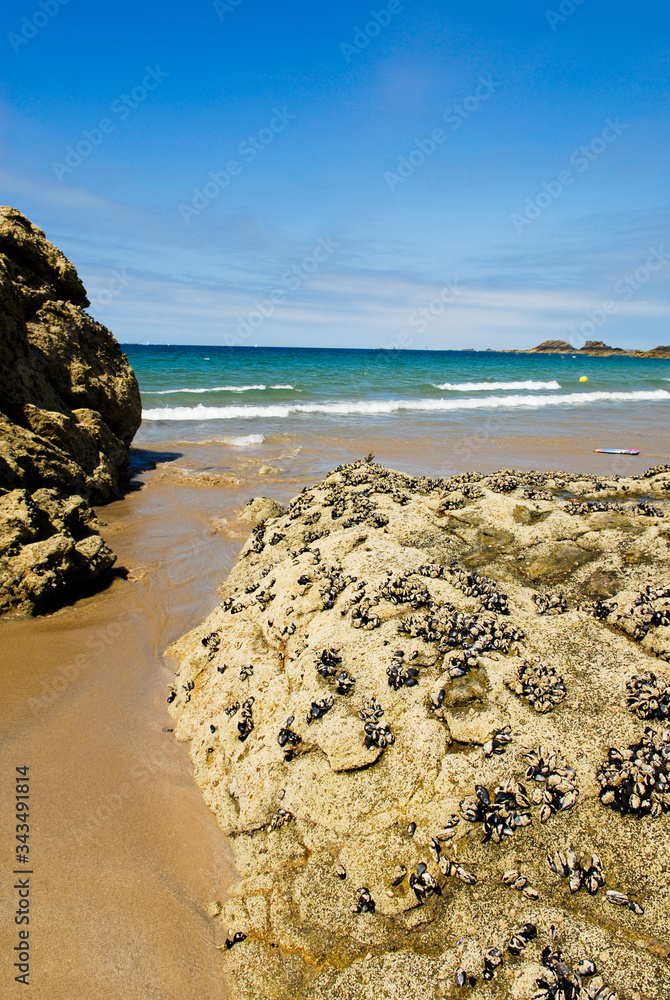 Côte dEmeraude, côte dArmor, Bretagne, France