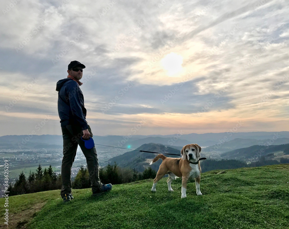 Young Man have a mountain dog walking with his beagle dog.