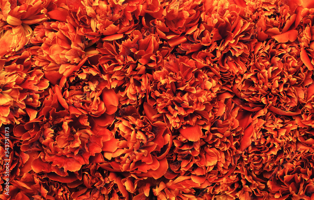  Abstract orange flower