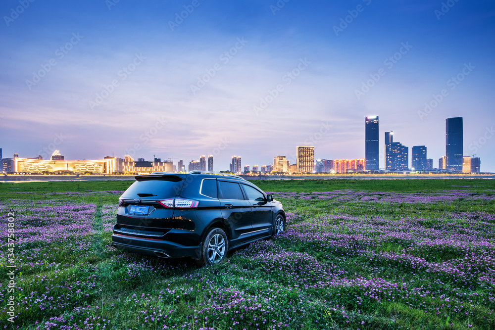 Car in the citys sea of flowers