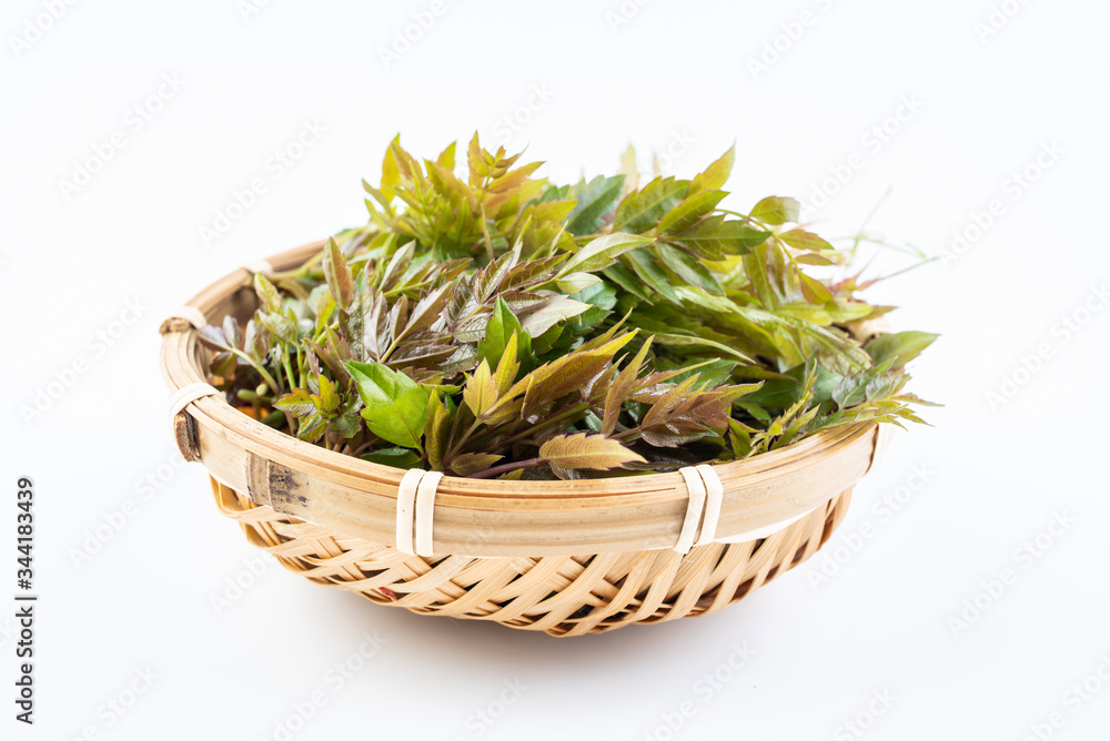 Fresh wild rattan tea on white background