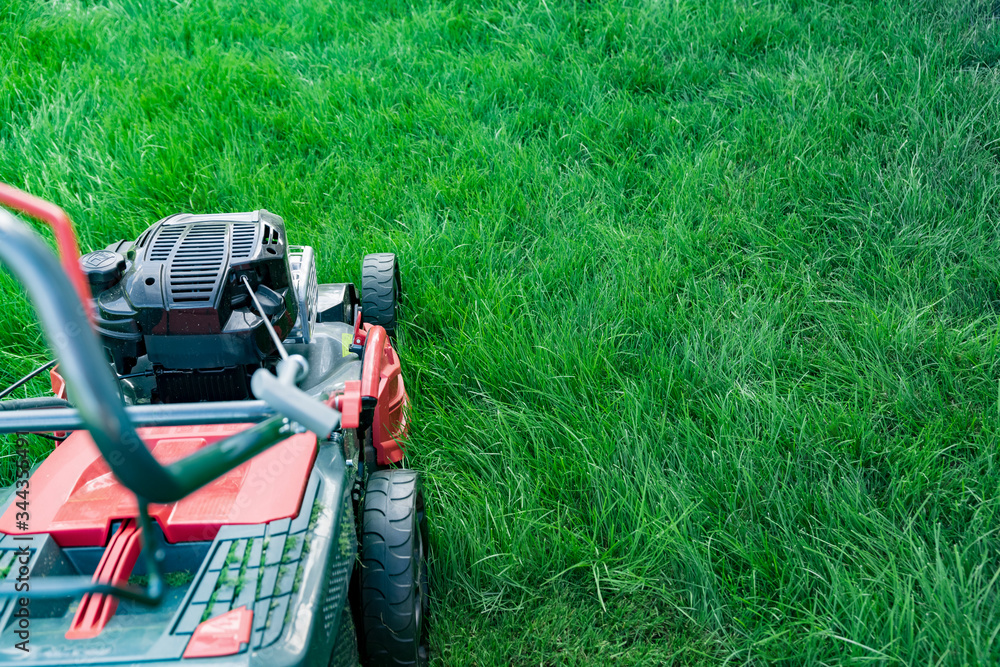 Lawn mower cutting green grass in backyard, mowing lawn copy space