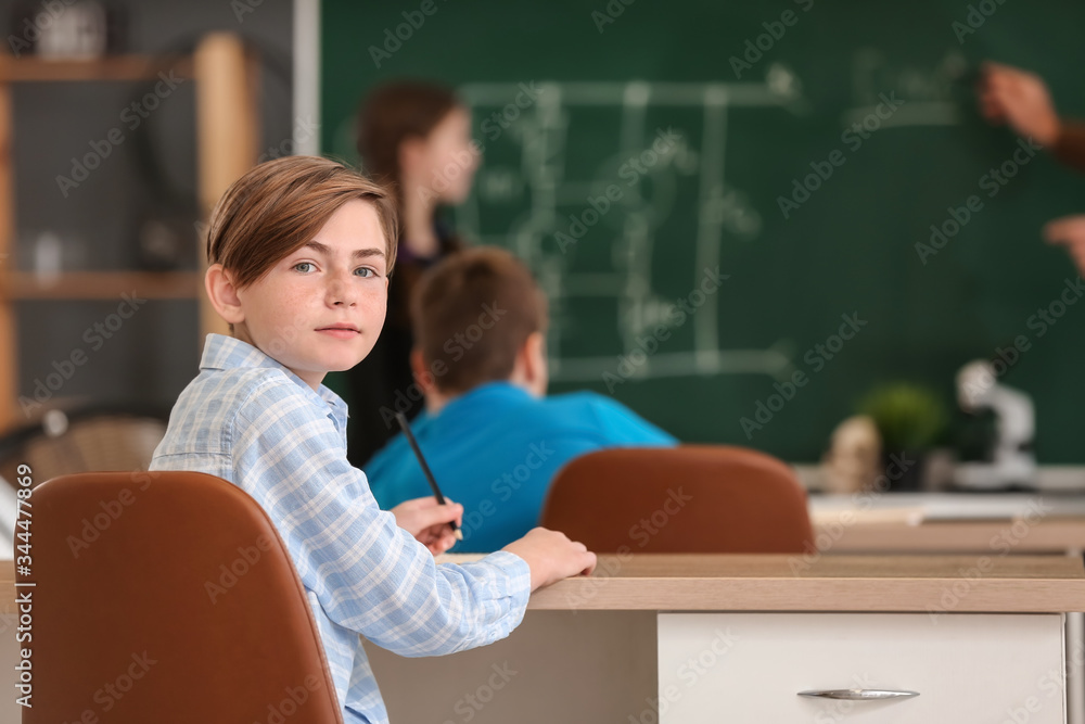 Cute boy at physics lesson in classroom