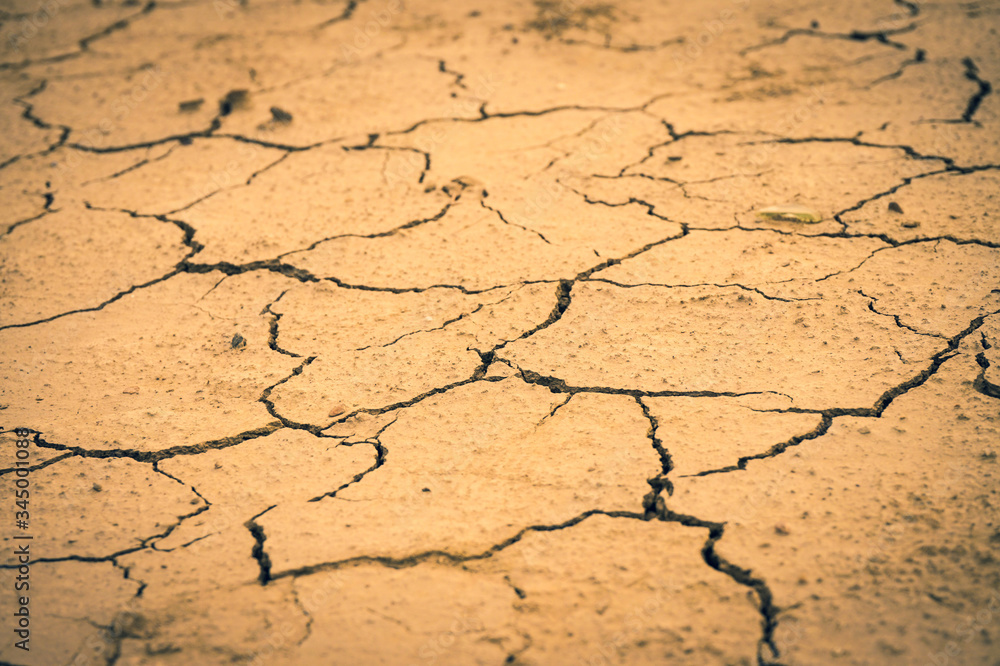 Draught, dry soil - global warming concept