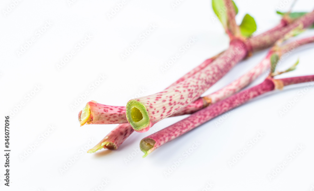 Sour tube rods with fresh wild herbs on white background