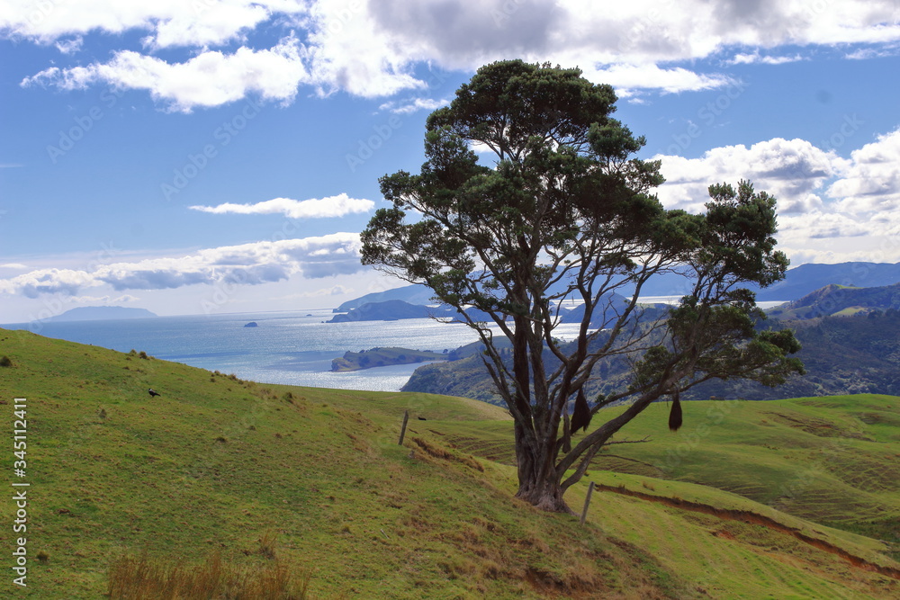 Traumhafter Ausblick auf Küste Coromandel NZ