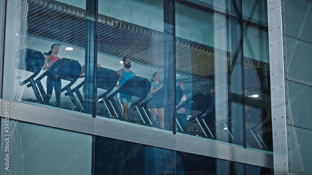 Athletic People Running on Treadmills, Doing Fitness Exercise. Fit and Muscular Athletes Actively Tr