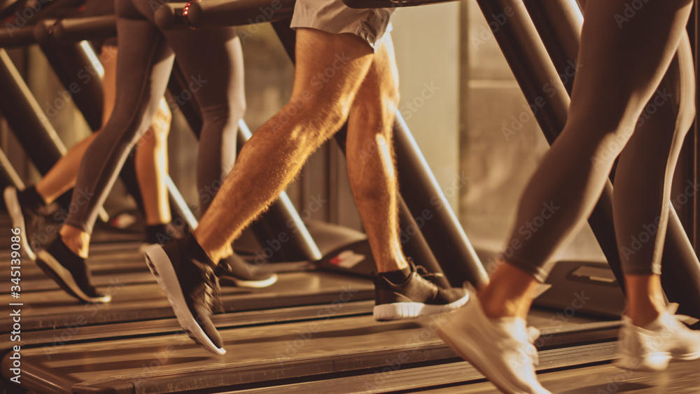 Athletic People Running on Treadmills, Doing Fitness Exercise. Strong People Training in the Modern 