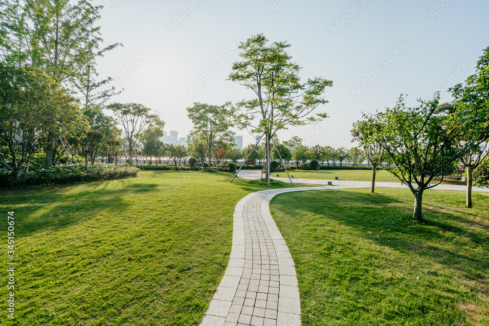 road in park