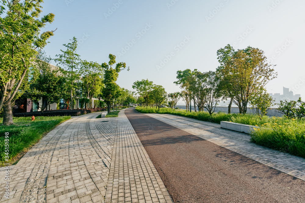 公园道路