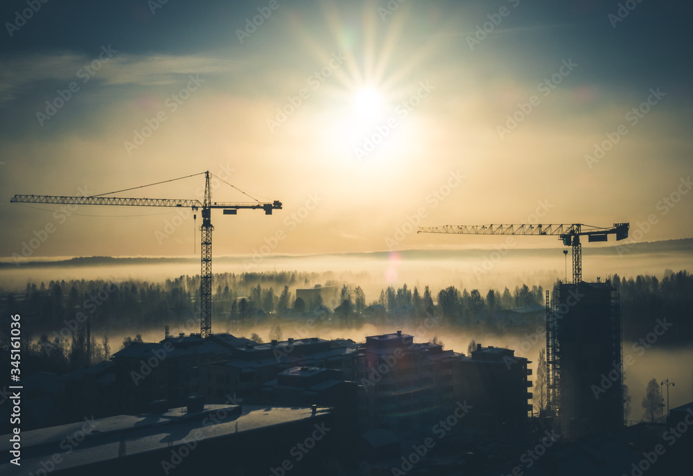 Cranes in th Morning Mist