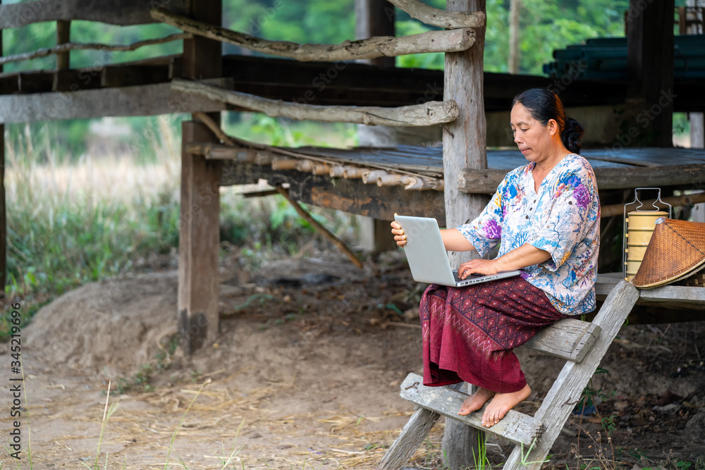 Women in rural Thailand are using laptop in the rice field.