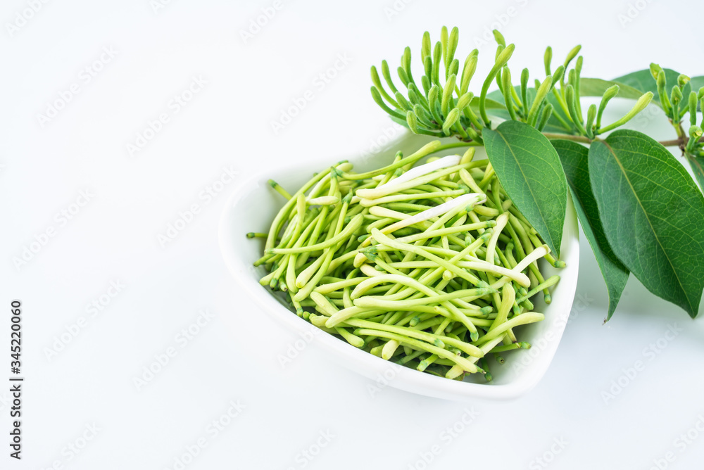 Fresh wild honeysuckle buds on white background