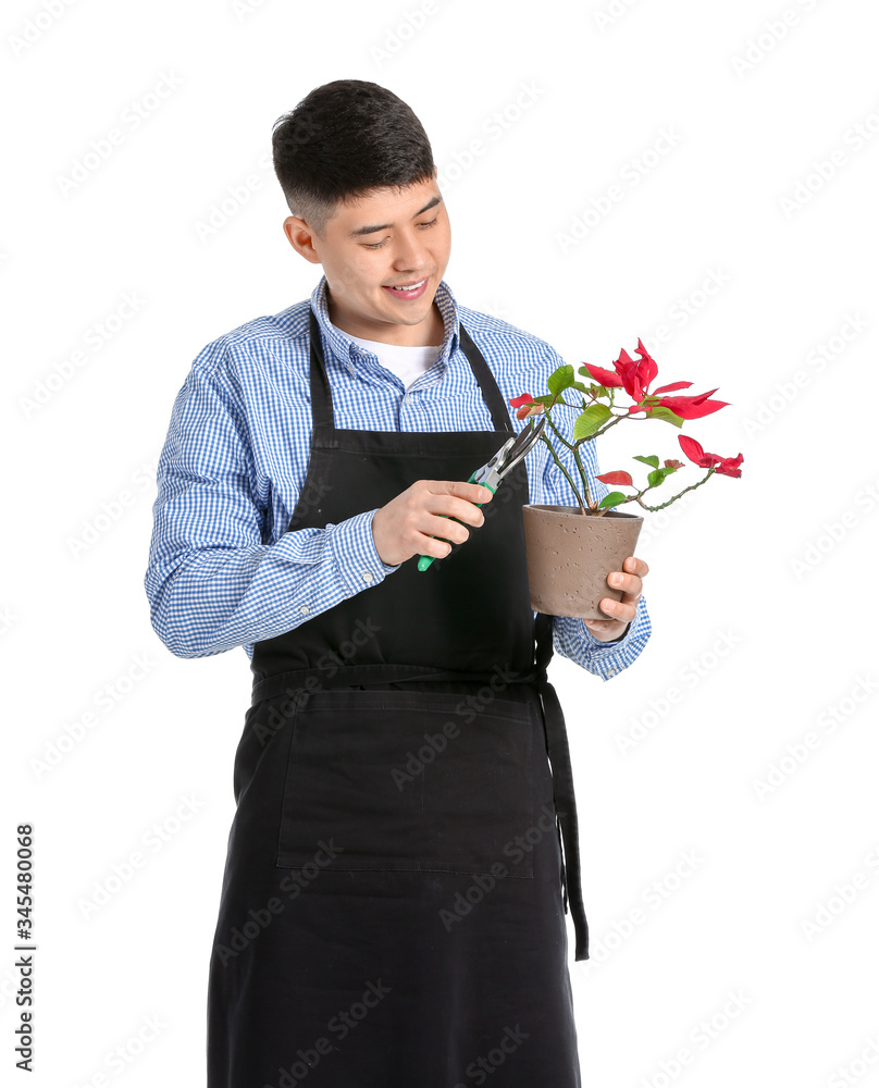 Portrait of Asian male florist with plant on white background