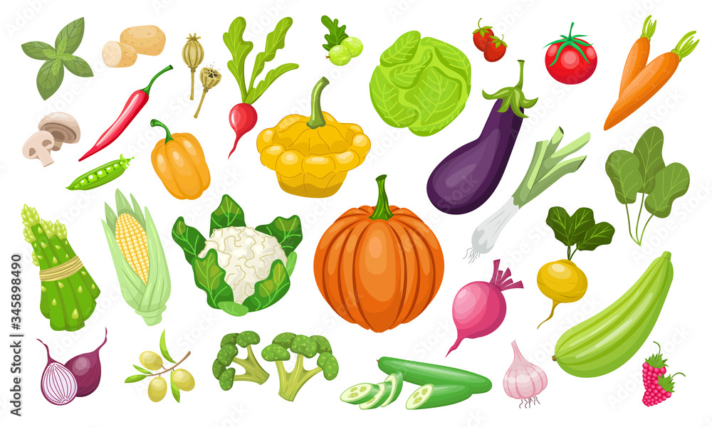 A large set of vegetables. Fresh tomatoes, peppers, pumpkin, paprika, zucchini, corn, carrots, peppe