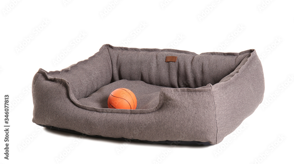 Comfortable pet bed on white background