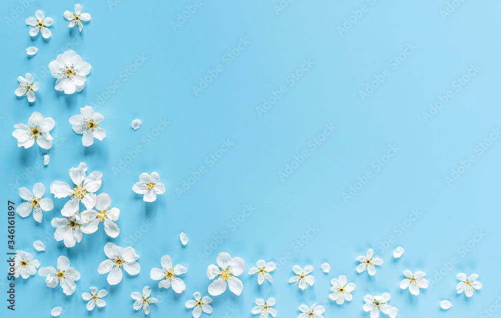 white flowers on a blue background with a corner frame