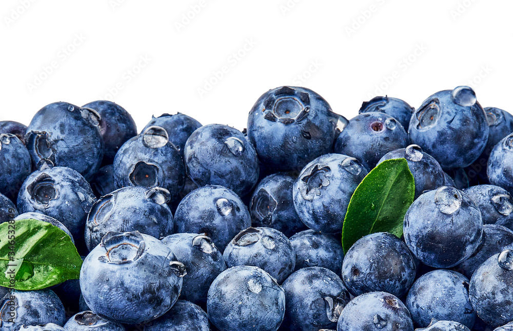 Close up of blueberries. Blueberry leaves with berries and drops. Top view. Concept of healthy and d