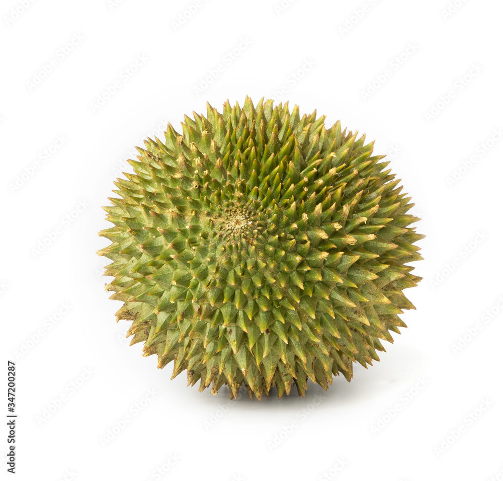 fresh green durian isolate on white background