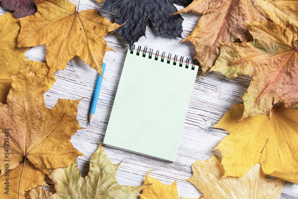 Spiral notepad and pen lies on vintage wooden desk