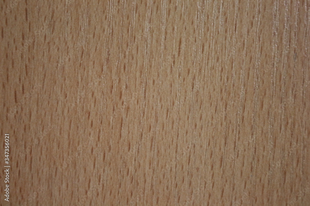 wood texture background