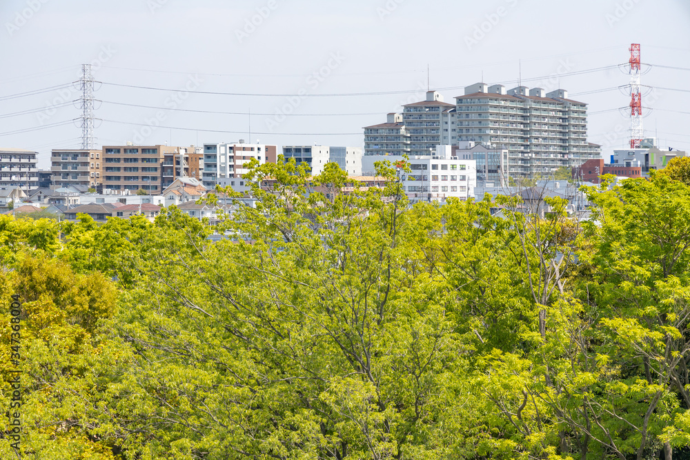 横浜郊外の住宅街