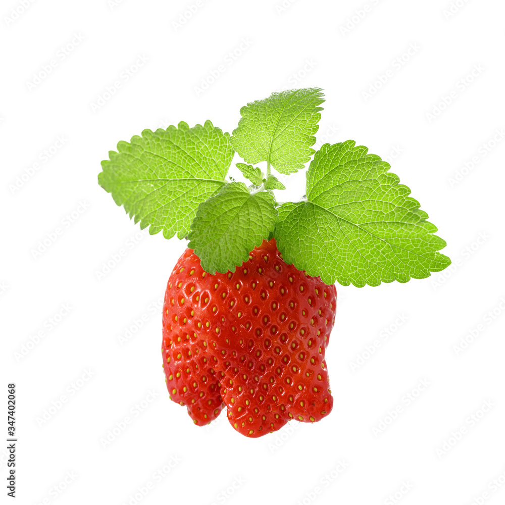 Strawberry of unusual shape with mint leaves close up isolated on white