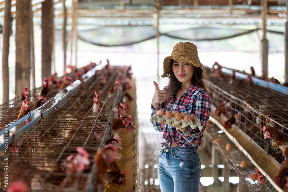 Portrait of young asian woman farmer collect fresh eggs in hands in Eggs chicken farm..