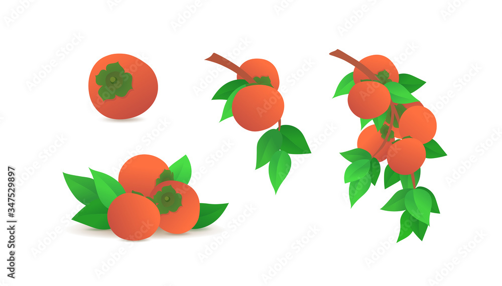 Ripe orange persimmons icons set isolated on white background. Single fruit, fresh persimmons with g