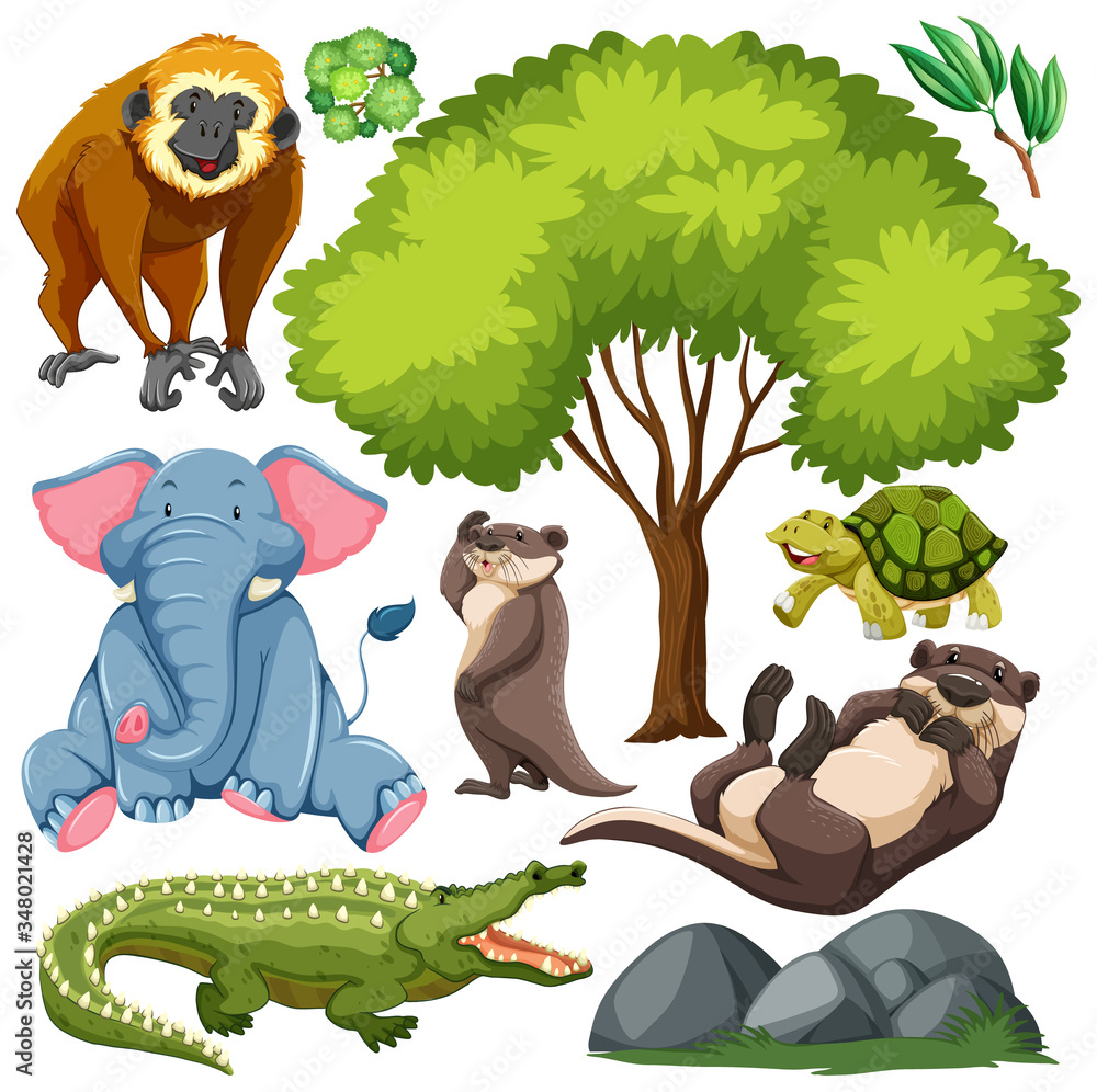 Set of cute wild animal and nature