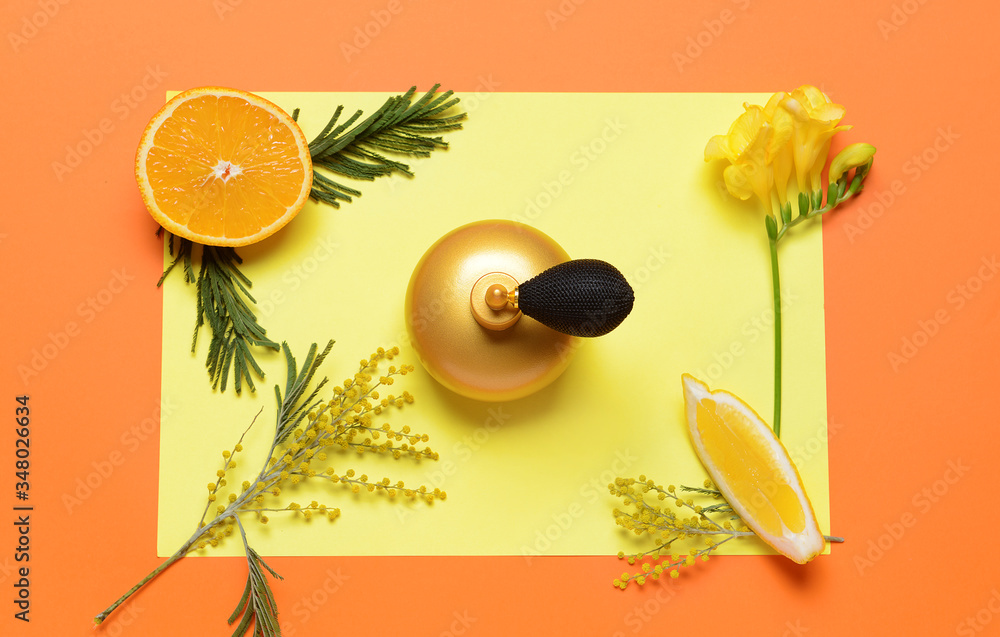 Beautiful composition with perfume bottle on color background