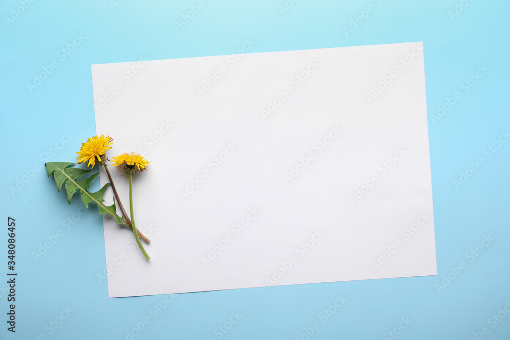 Fresh dandelions and paper sheet on color background