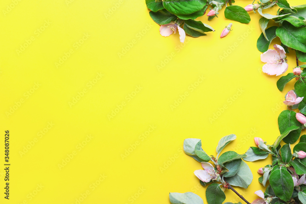 Beautiful blossoming branches on color background